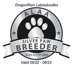 Silver Australian Labradoodle Association 
	of America Member