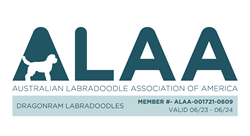 Australian Labradoodle Association 
	of America Member